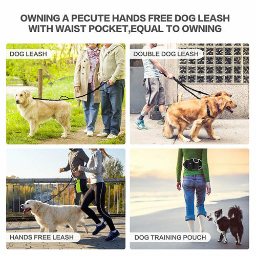 FreeStride™ Leash