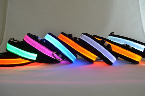 GlowPaw™