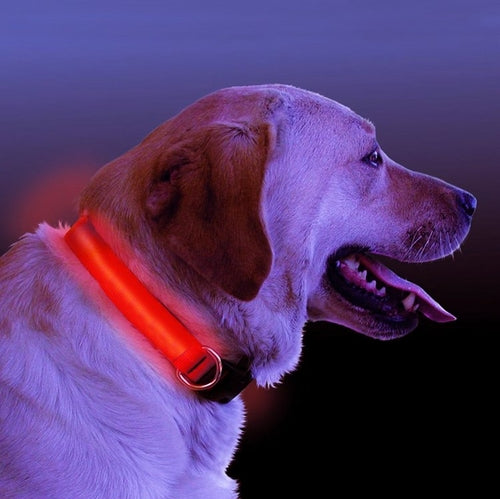 GlowPaw™