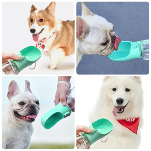 HydroPaw™ Bottle